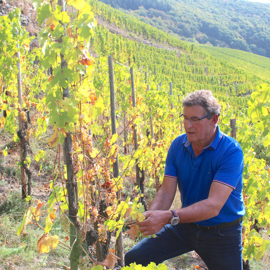 Franz-Josef Eifel Winery